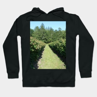 Raspberry Farm Nature Photography Pacific Northwest Hoodie